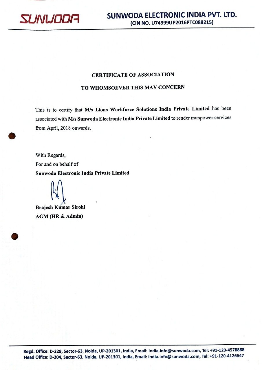 Lions Workforce Solutions Gallery